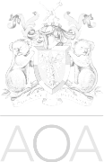 AOA logo | Dr Gerard Hardisty | The Foot & Ankle Centre
